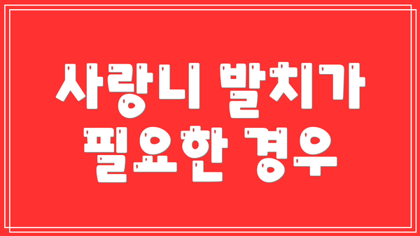 사랑니 발치가 필요한 경우