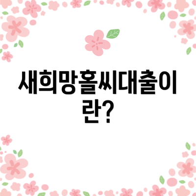 새희망홀씨대출이란?