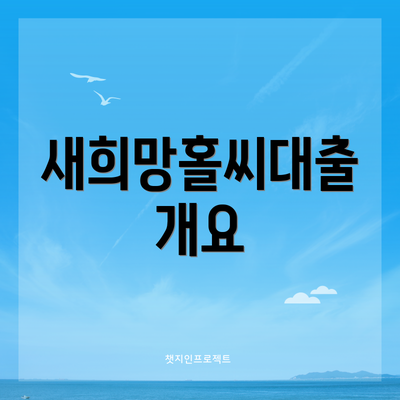 새희망홀씨대출 개요