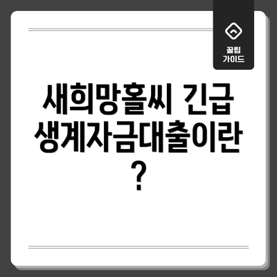 새희망홀씨 긴급생계자금대출이란?