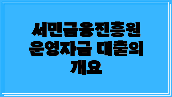 서민금융진흥원 운영자금 대출의 개요