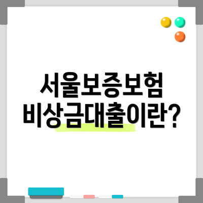 서울보증보험 비상금대출이란?