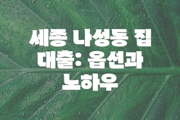 세종 나성동 집 대출: 옵션과 노하우