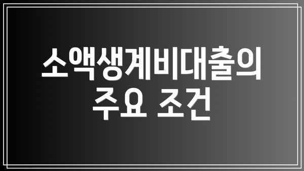소액생계비대출의 주요 조건