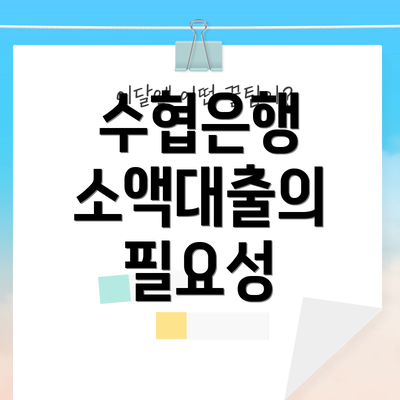 수협은행 소액대출의 필요성