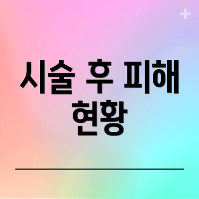 시술 후 피해 현황