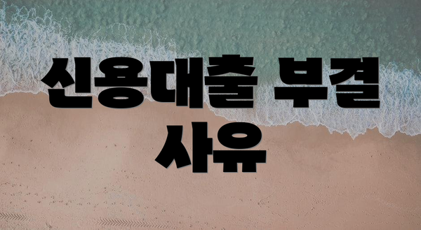 신용대출 부결 사유