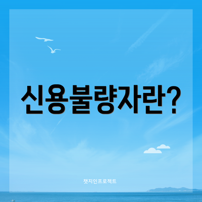 신용불량자란?