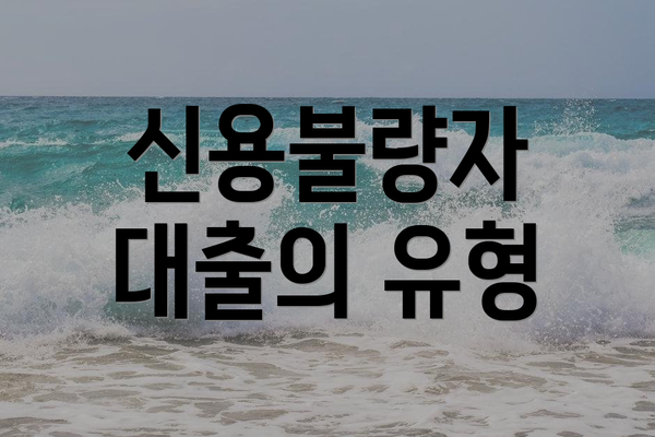 신용불량자 대출의 유형