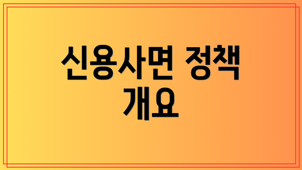 신용사면 정책 개요