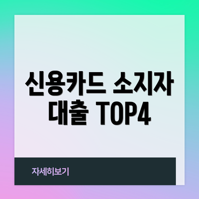 신용카드 소지자 대출 TOP4