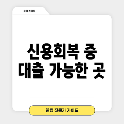 신용회복 중 대출 가능한 곳