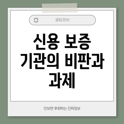신용 보증 기관의 비판과 과제