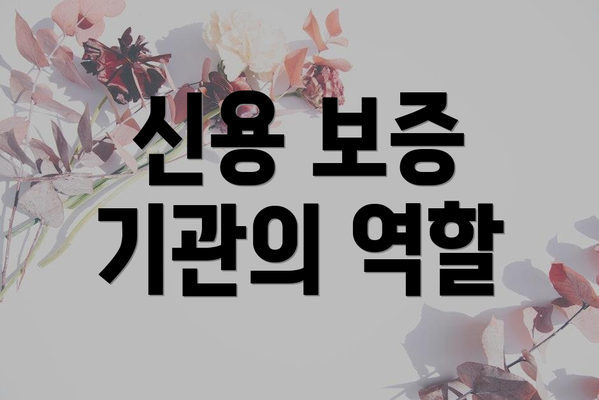 신용 보증 기관의 역할