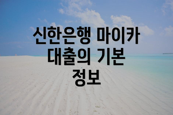 신한은행 마이카 대출의 기본 정보