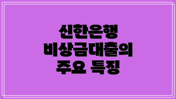 신한은행 비상금대출의 주요 특징