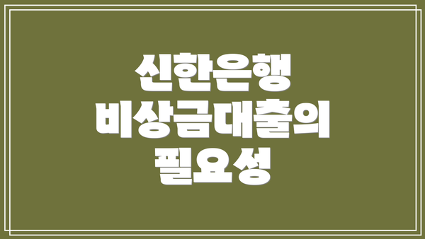 신한은행 비상금대출의 필요성