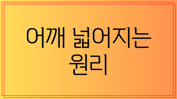 어깨 넓어지는 원리