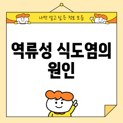 역류성 식도염의 원인