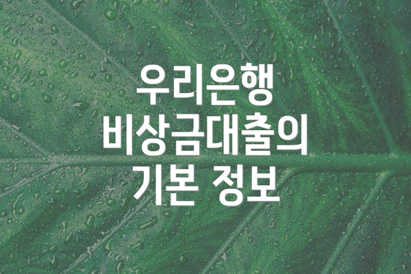 우리은행 비상금대출의 기본 정보