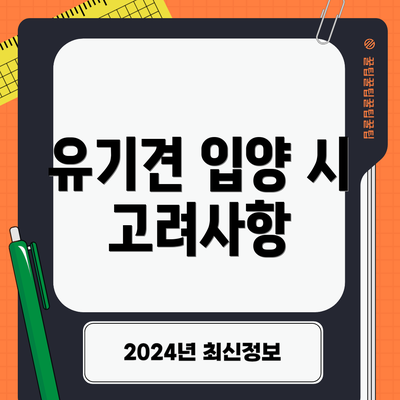 유기견 입양 시 고려사항