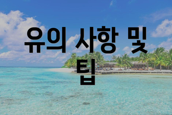 유의 사항 및 팁