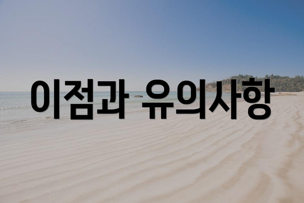 이점과 유의사항