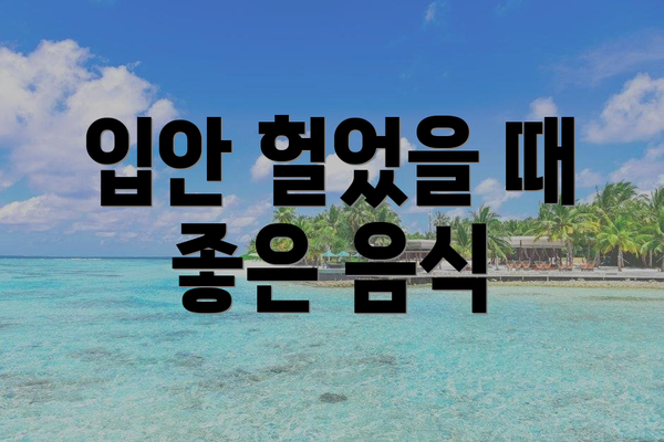 입안 헐었을 때 좋은 음식