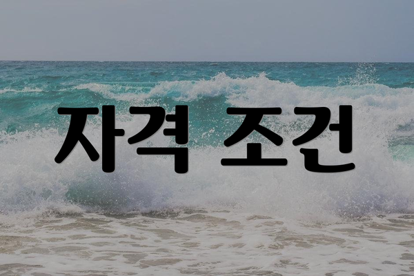 자격 조건