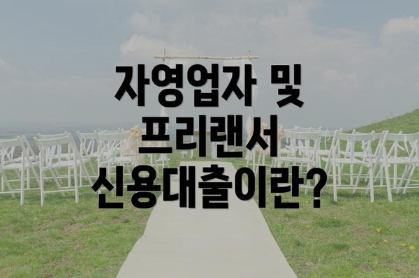 자영업자 및 프리랜서 신용대출이란?