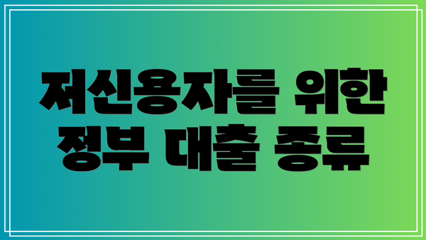 저신용자를 위한 정부 대출 종류