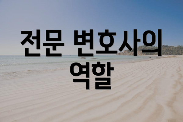 전문 변호사의 역할