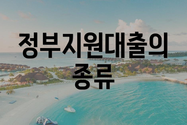 정부지원대출의 종류