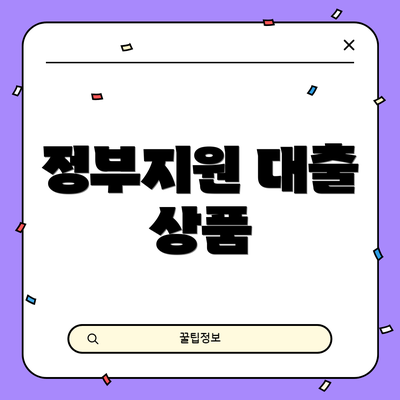 정부지원 대출 상품