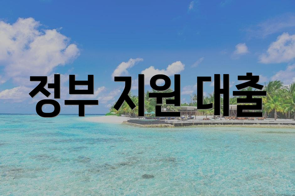 정부 지원 대출