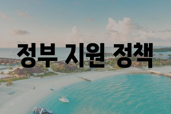 정부 지원 정책