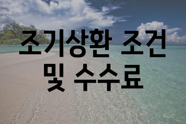조기상환 조건 및 수수료