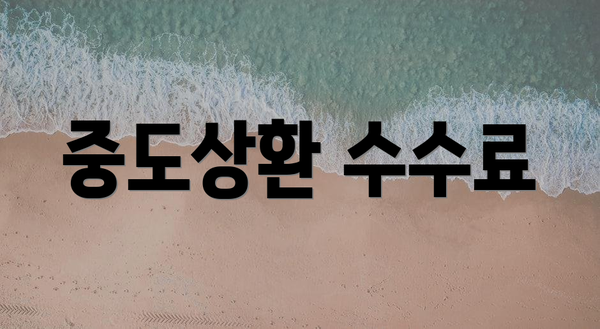 중도상환 수수료