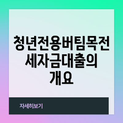 청년전용버팀목전세자금대출의 개요