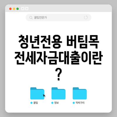 청년전용 버팀목 전세자금대출 FAQ