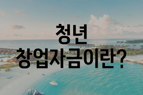 청년 창업자금이란?