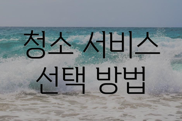 청소 서비스 선택 방법