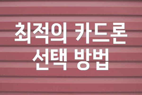 최적의 카드론 선택 방법