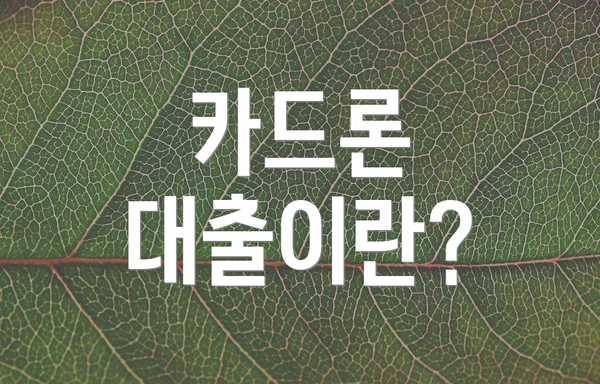 카드론 대출이란?