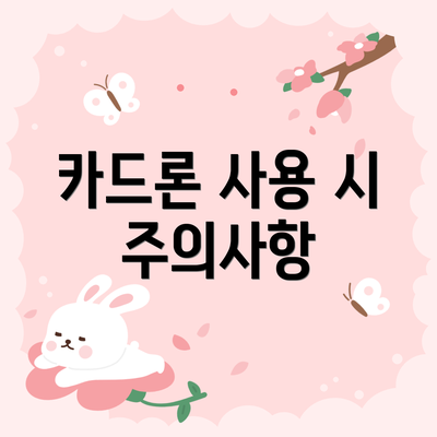 카드론 사용 시 주의사항