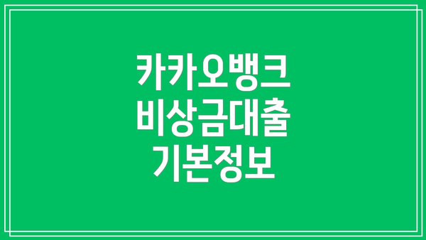 카카오뱅크 비상금대출 기본정보