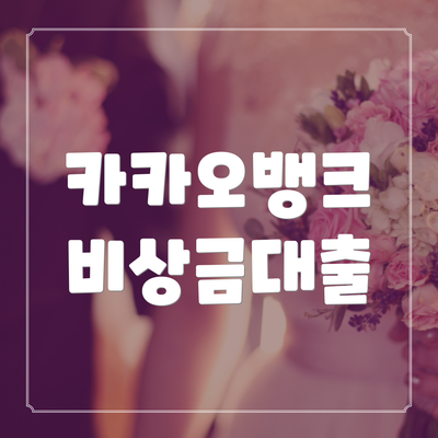 카카오뱅크 비상금대출