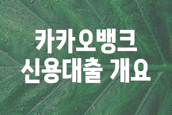 카카오뱅크 신용대출 개요