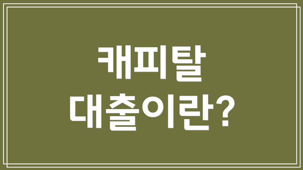 캐피탈 대출이란?