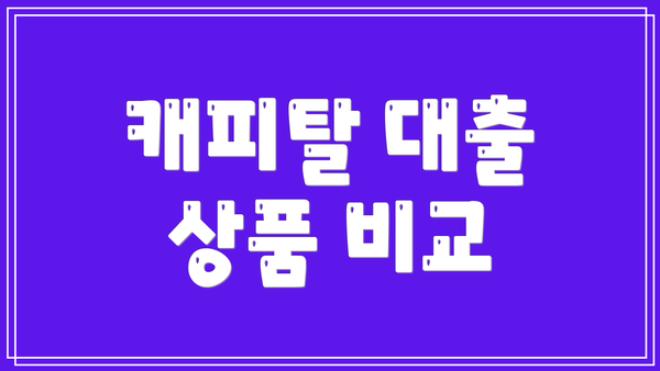 캐피탈 대출 상품 비교